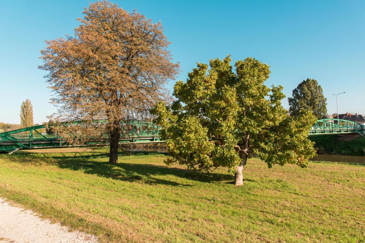 Halaszcsarda-Panzio Hotell Körmend Exteriör bild